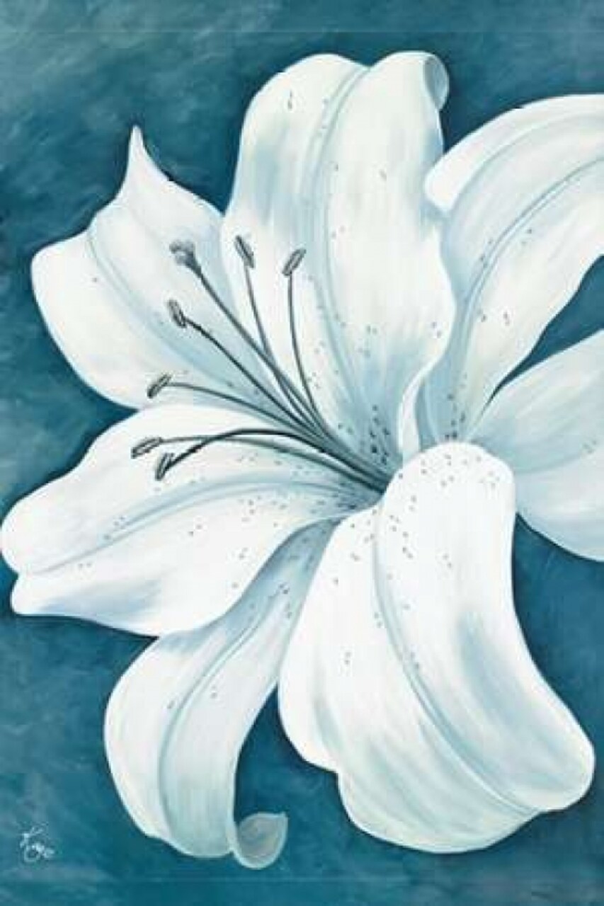 Wistful Lily I Poster Print by Kaye Lake - Item # VARPDX85231
